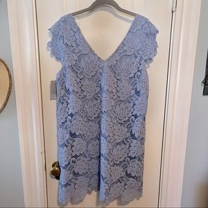 BB Dakota Jacqueline lace shift dress